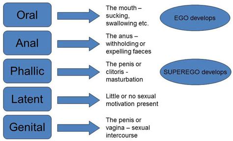 Image result for Patterns of Gender Development
