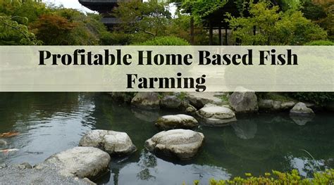 Small Fish Farm 的图像结果