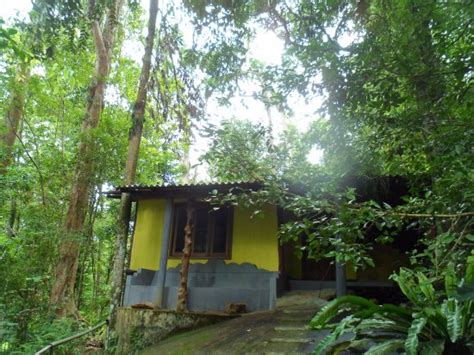 JUNGLE TRACK ECO LODGE (Kalawana) - Lodge Reviews & Photos - Tripadvisor