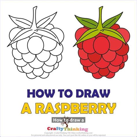 Image result for Raspberry Drawing Tutorial