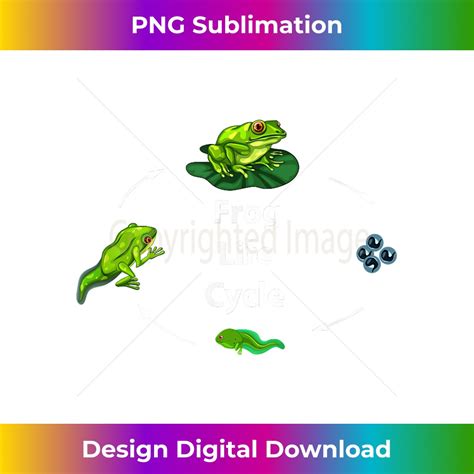 Frog Cycle 的图像结果