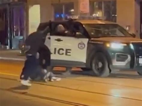 Image result for Amazing Python Fights