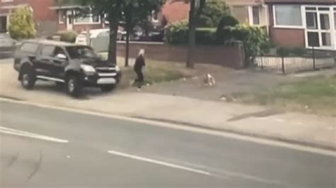 Pet Dog Saves Owner's Life By Dragging Her Out Of Path Of Car Doing ...