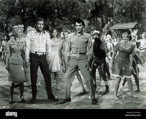 Cynthia Pepper Actress