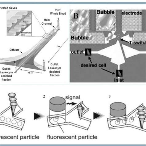 Image result for Cell Sorting Microfluidic Chip
