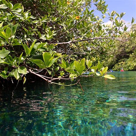 WATER SPORTS IN CANCUN - All You Need to Know BEFORE You Go 2026 (with ...