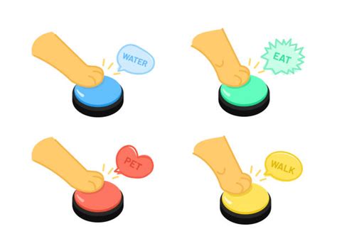 How to Teach Your Pet to Communicate Using Buttons