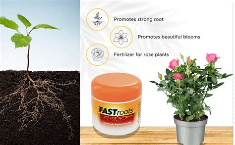 DIVINE TREE Fastroot Rooting Hormone Powder for Plants Cuttings ...