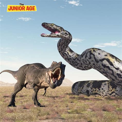 Unveiling The Largest Snake: Vasuki Indicus Facts