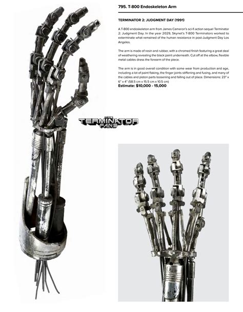 Image result for Terminator Inflatable