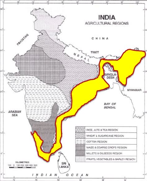 Agricultural Regions of India | IASPOINT