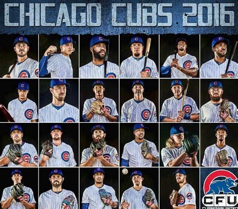Chicago Cubs 2016 | Chicago cubs fans, Chicago cubs baseball, Chicago ...