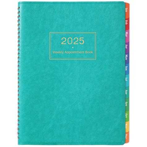 Buy 2025 Weekly Appointment Book & Planner - Large 2025 Daily Hourly ...