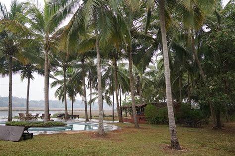 Olaulim Backyards (Goa/Pomburpa) - Lodge Reviews, Photos, Rate ...