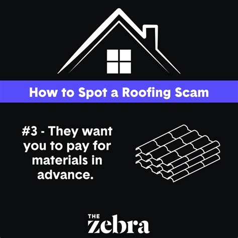 Image result for Zebra Compare Car Insurance