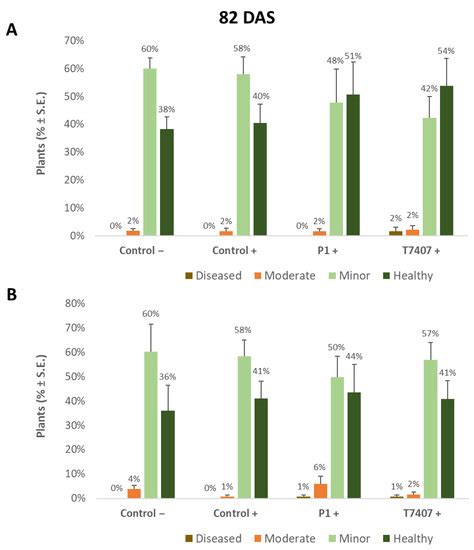 Trichoderma longibrachiatum and Trichoderma asperellum Confer Growth ...
