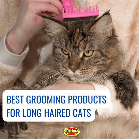 5 Best Grooming Brushes For Luscious Locks Of Long Haired Cats ...