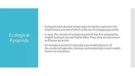 Image result for Ecological Pyramids Explained