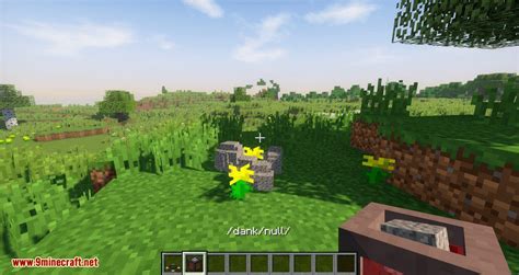 Image result for Minecraft Null Mod