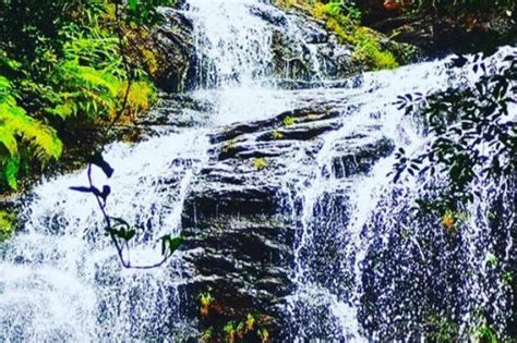 MAREDUMILLI RESORTS - 2025 (with Prices) - 9110377536