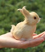 Image result for Small Stuffed Bunny