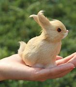 Image result for Antique Toy Rabbit