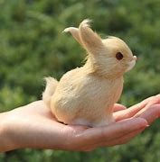 Image result for Bunny Rabbit Stuffed Animal