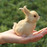 Image result for Baby Rabbit Plush Toy