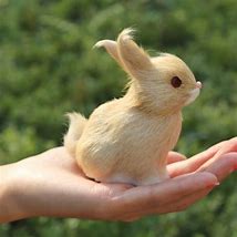 Image result for Yellow Stuffed Bunny