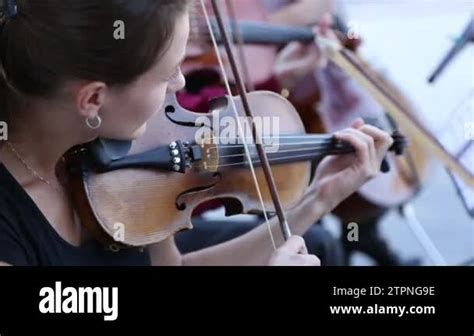 Musical Instruments Three Strings 的图像结果