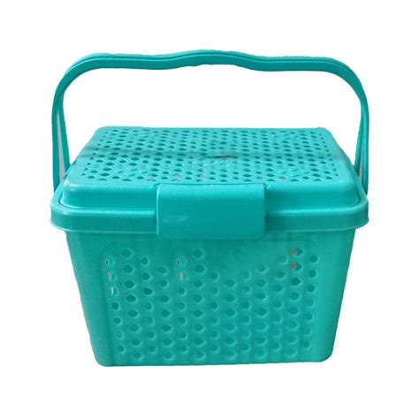 3474 Big Size Multipurpose Fruit Vegetable & Picnic Basket (Multicolor ...