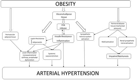 Weight Loss and Hypertension in Obese Subjects