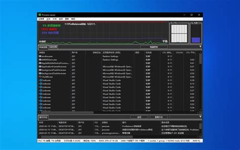 Image result for Processlassosetup64