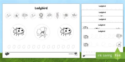 Ladybird Pencil Control Worksheet / Worksheets - Twinkl