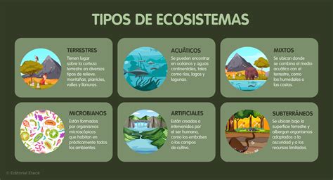 Características Y Tipos De Ecosistemas – KPSTM
