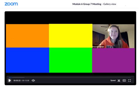 Image result for Zoom Tutorial On View