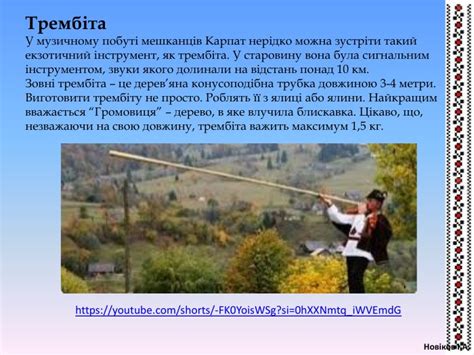Україна у звуках: напівзабуті традиційні музичні інструменти