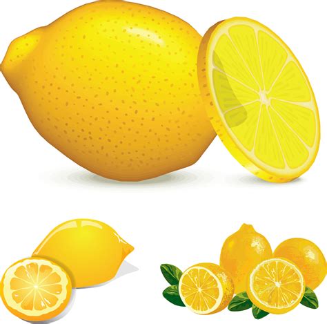 Free Lemon Clip Art Pictures - Clipartix