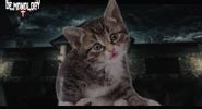 Image result for Python File Loading