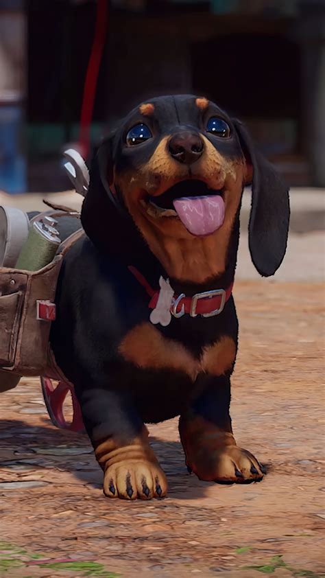 Chorizo Dog Far Cry at Layla Swallow blog