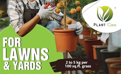 PLANT CARE Organic Vermicompost Fertilizer,Ready-to-Use Compost for ...