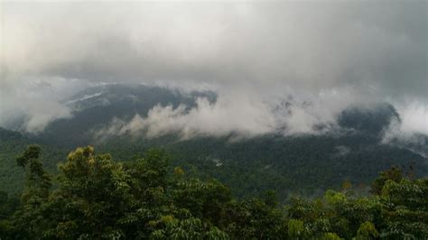 MISTY FALLS COTTAGE (Kannur, Kerala) - Cottage Reviews & Photos ...