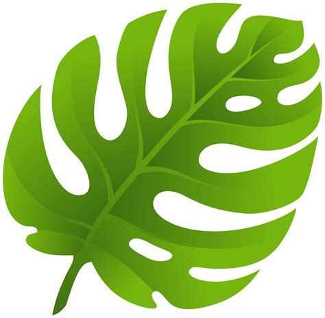 Leaf Clip art - monstera png download - 8000*7838 - Free Transparent ...