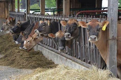 Claire Morenon: CISA reflects on farming community, food programs in ...