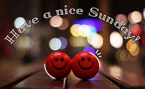 Image result for CWC Group Castlewellan