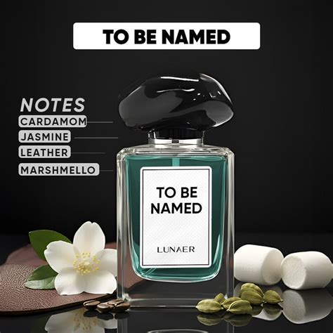 LUNAER Luxury Perfumes for Men and Women with Citrus, Oud, Vanilla ...