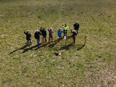 Volunteering 的图像结果