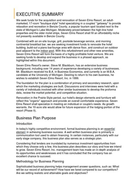 Business Plan Summary Example.pdf 的图像结果