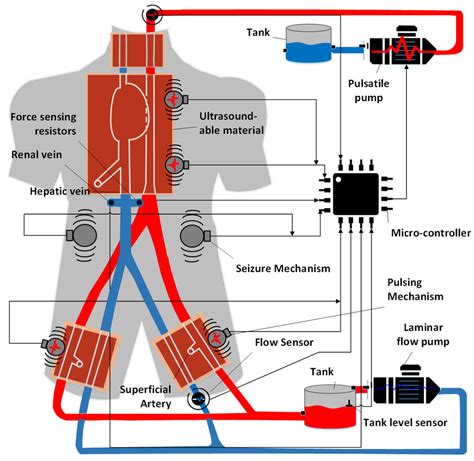 A Review of Human Circulatory System Simulation: Bridging the Gap ...