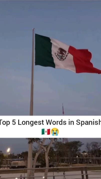 Top 5 Longest Words in Spanish 🇲🇽😭 #shorts #youtube - YouTube